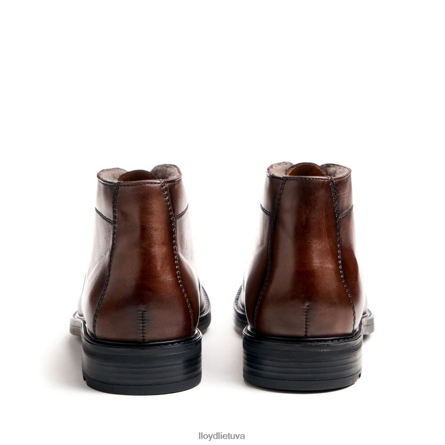 LLOYD delaveras vyrų avalynė rudas VF40PZ461