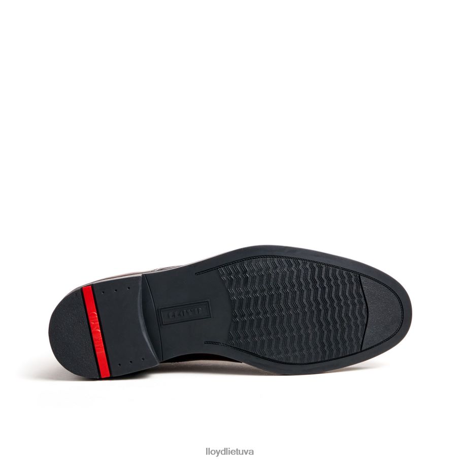 LLOYD delaveras vyrų avalynė rudas VF40PZ461