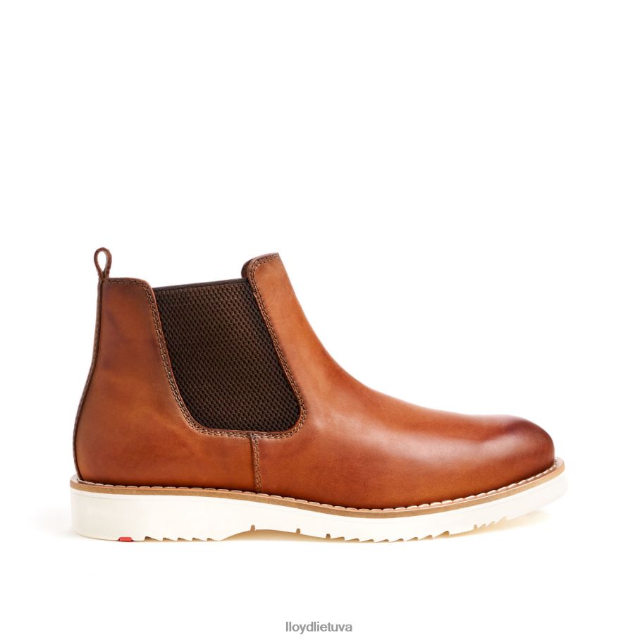 LLOYD dentonas vyrų avalynė rudas VF40PZ477