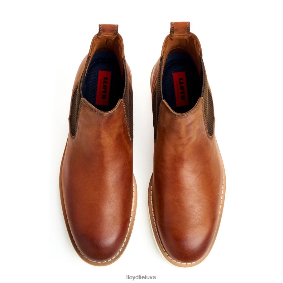 LLOYD dentonas vyrų avalynė rudas VF40PZ477