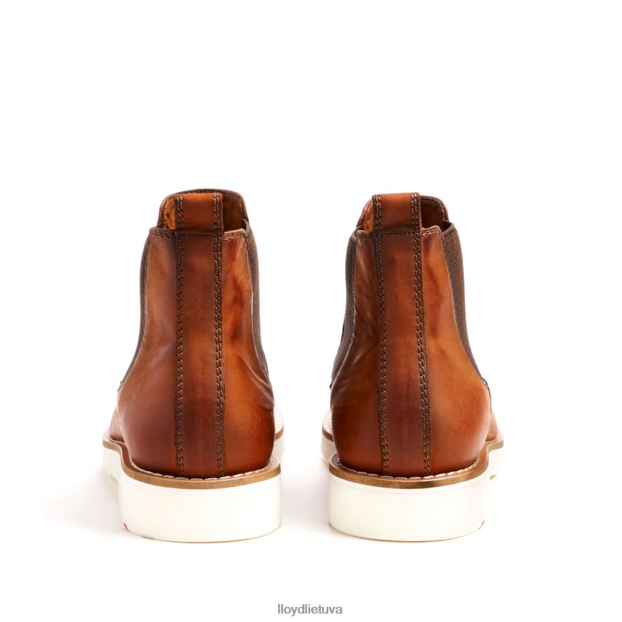 LLOYD dentonas vyrų avalynė rudas VF40PZ477