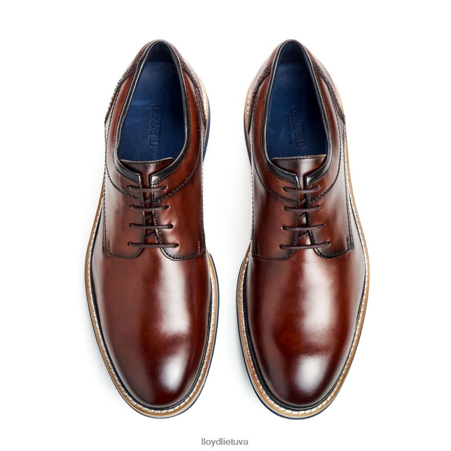 LLOYD dero vyrų avalynė rudas VF40PZ45