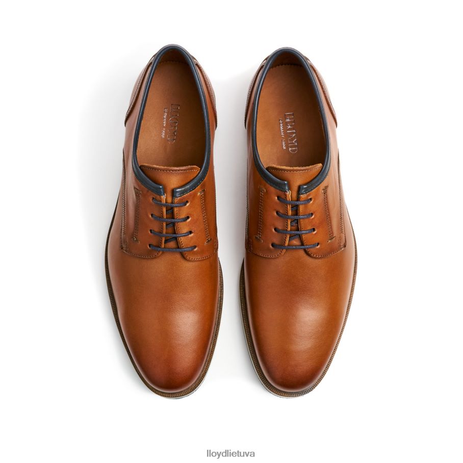 LLOYD detroitas vyrų avalynė rudas VF40PZ113