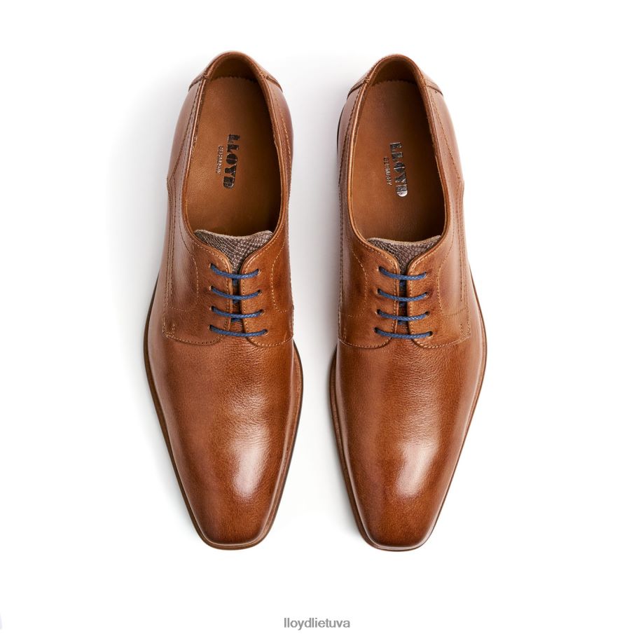 LLOYD don vyrų avalynė rudas VF40PZ109