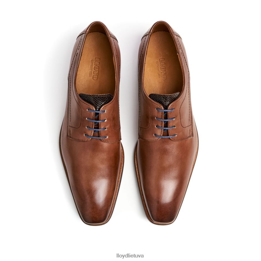 LLOYD don vyrų avalynė rudas VF40PZ112