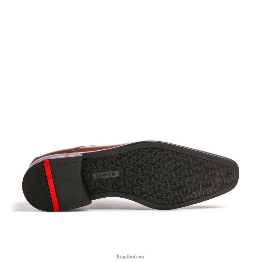 LLOYD don vyrų avalynė rudas VF40PZ112