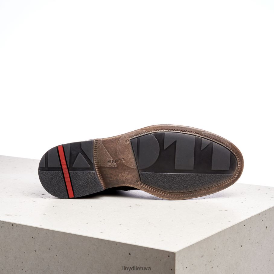 LLOYD dvilypis vyrų avalynė rudas VF40PZ526