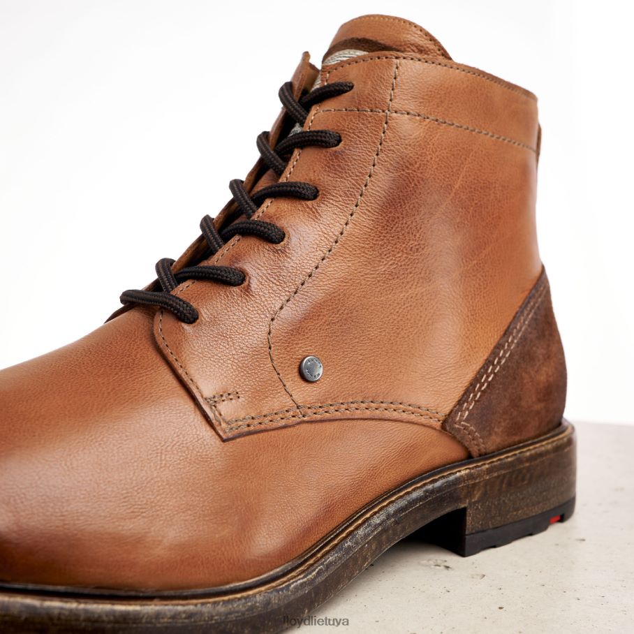 LLOYD dwayn vyrų avalynė rudas VF40PZ535