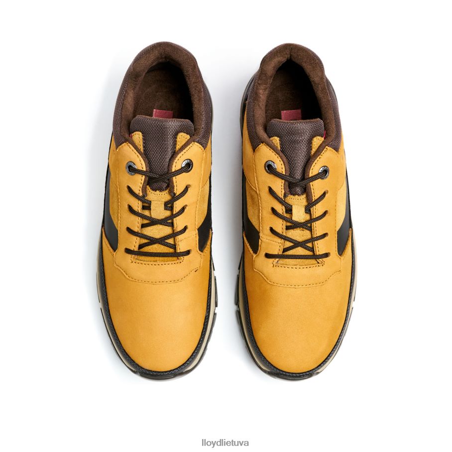 LLOYD ebe vyrų avalynė rudas VF40PZ295