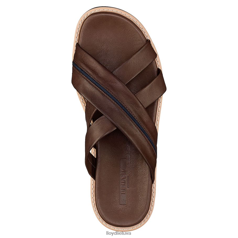 LLOYD edvino vyrų avalynė rudas VF40PZ584