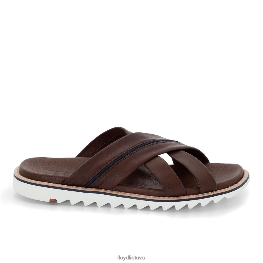 LLOYD edvino vyrų avalynė rudas VF40PZ584