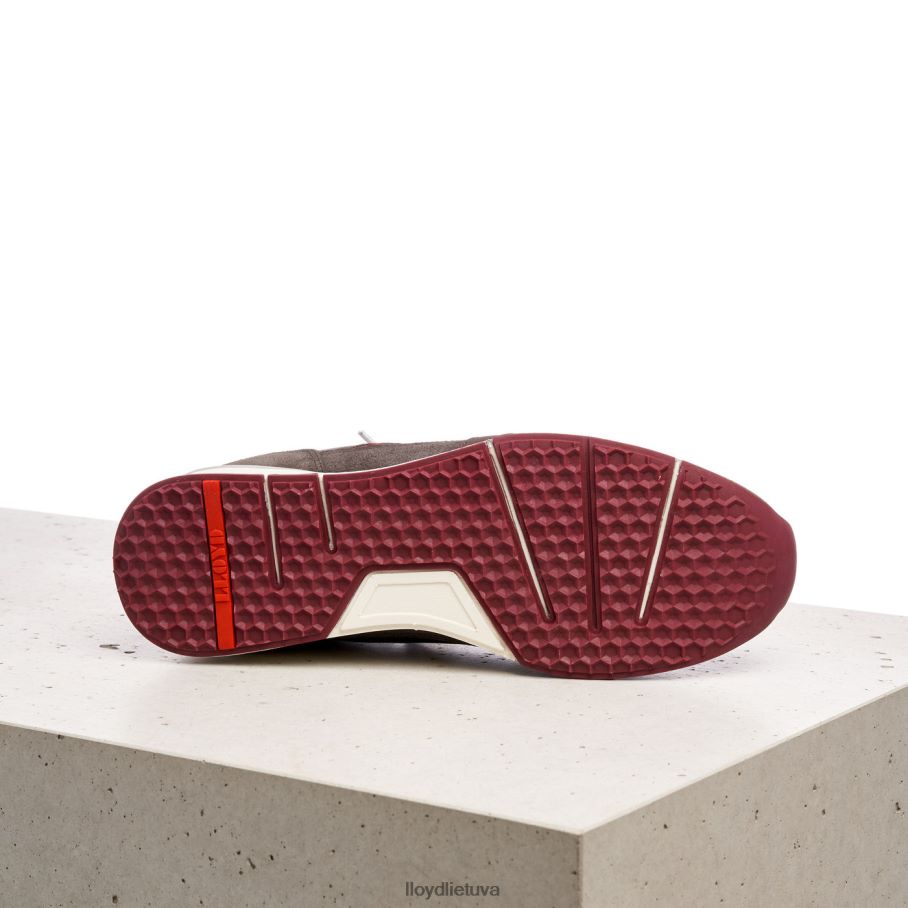 LLOYD egidio vyrų avalynė rudas VF40PZ432