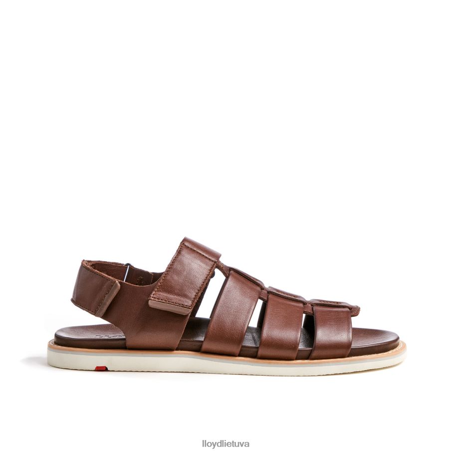 LLOYD elimaras vyrų avalynė rudas VF40PZ583