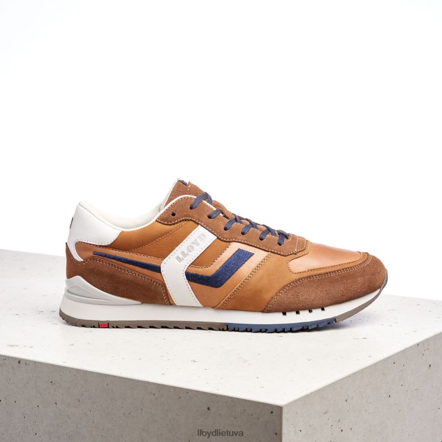 LLOYD elio vyrų avalynė rudas VF40PZ381