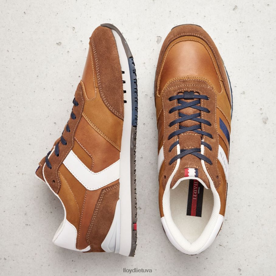 LLOYD elio vyrų avalynė rudas VF40PZ381