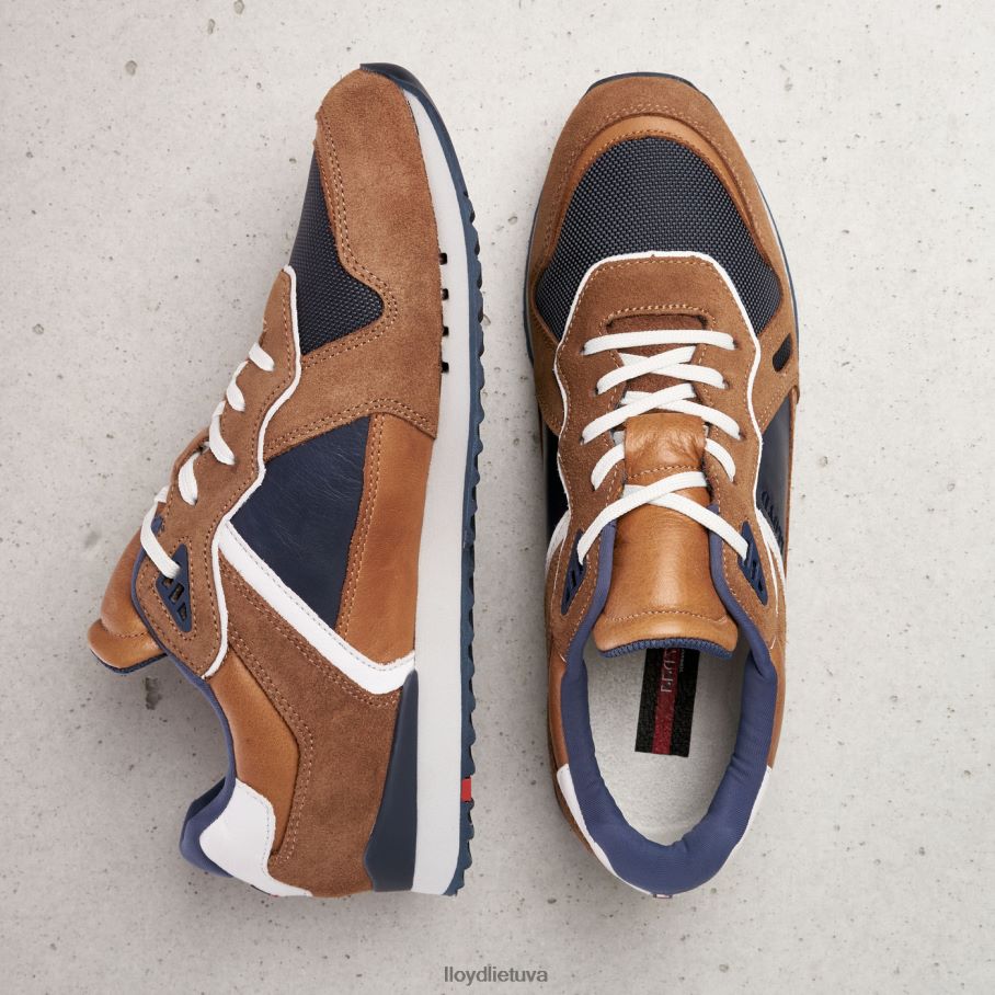 LLOYD elja vyrų avalynė rudas VF40PZ373