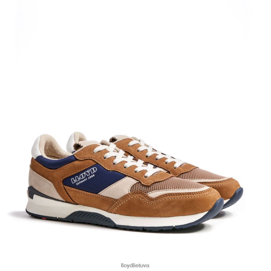 LLOYD eloy vyrų avalynė rudas VF40PZ371