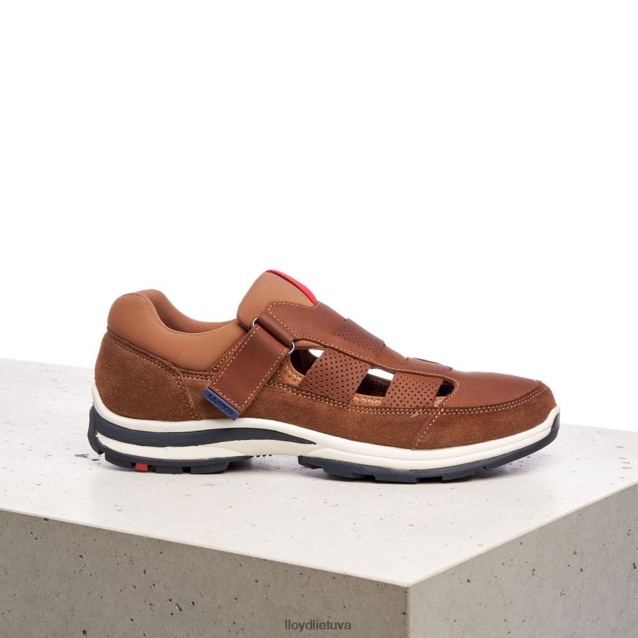 LLOYD elrado vyrų avalynė rudas VF40PZ625