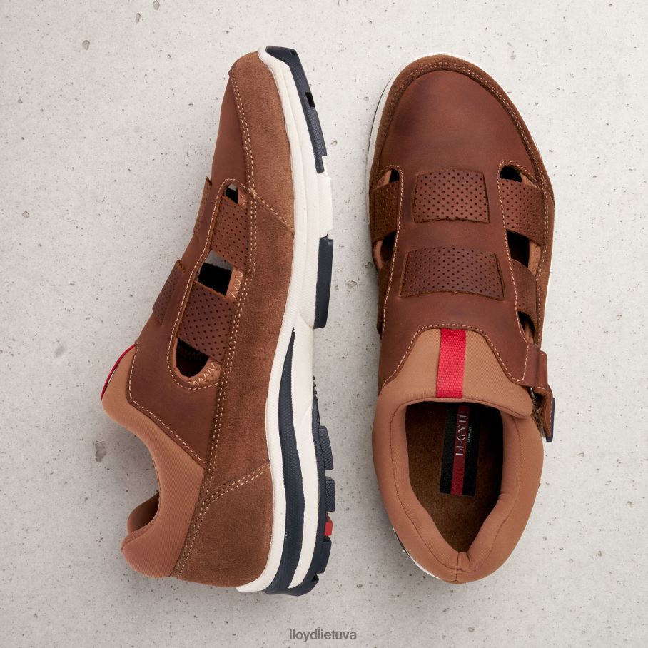 LLOYD elrado vyrų avalynė rudas VF40PZ625