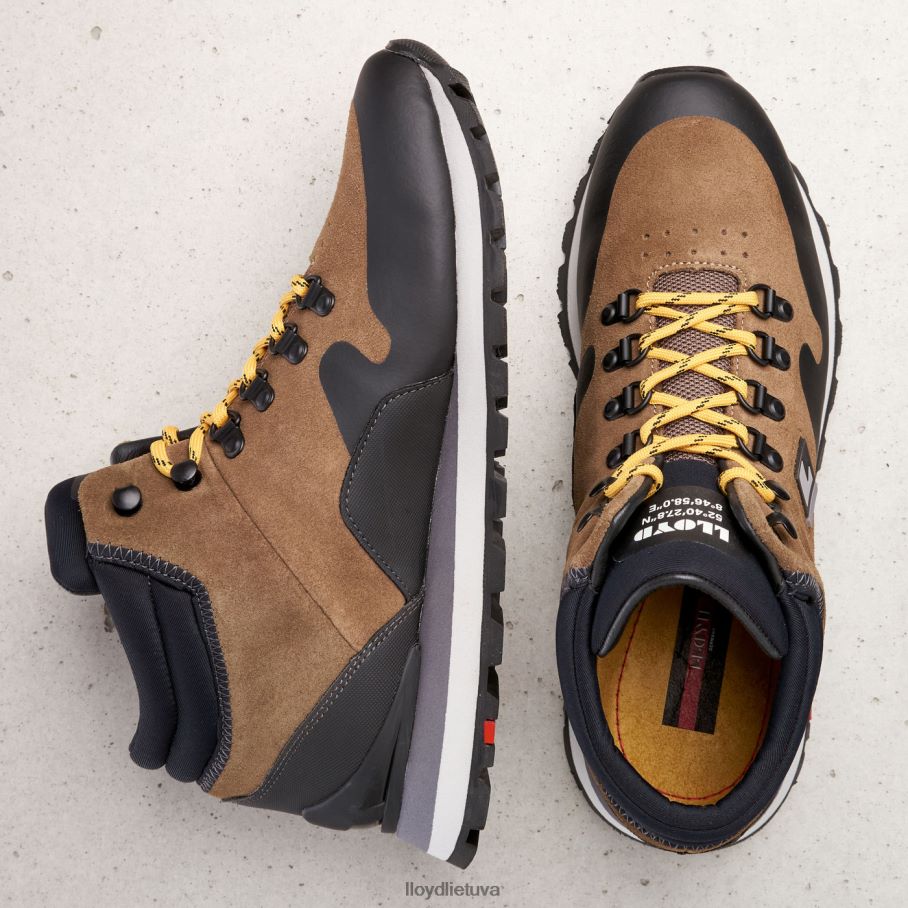 LLOYD elwas vyrų avalynė rudas VF40PZ551