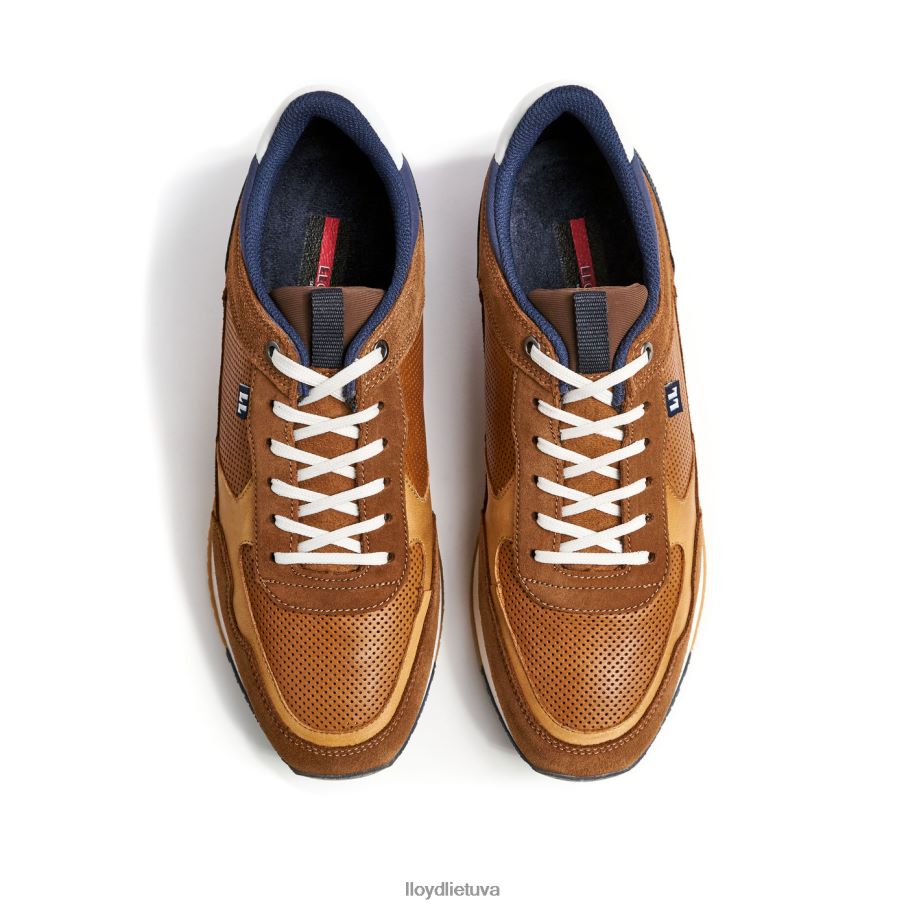 LLOYD emilianas vyrų avalynė rudas VF40PZ282