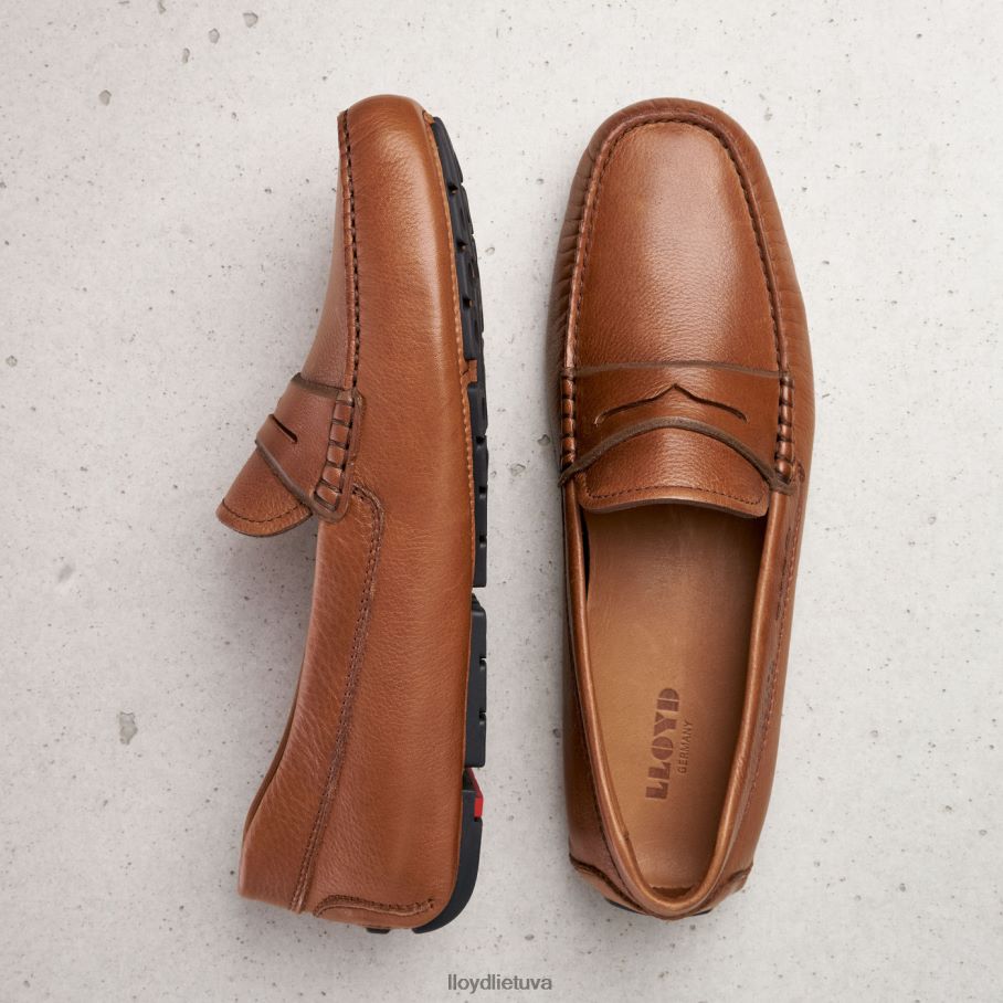 LLOYD emmo vyrų avalynė rudas VF40PZ610