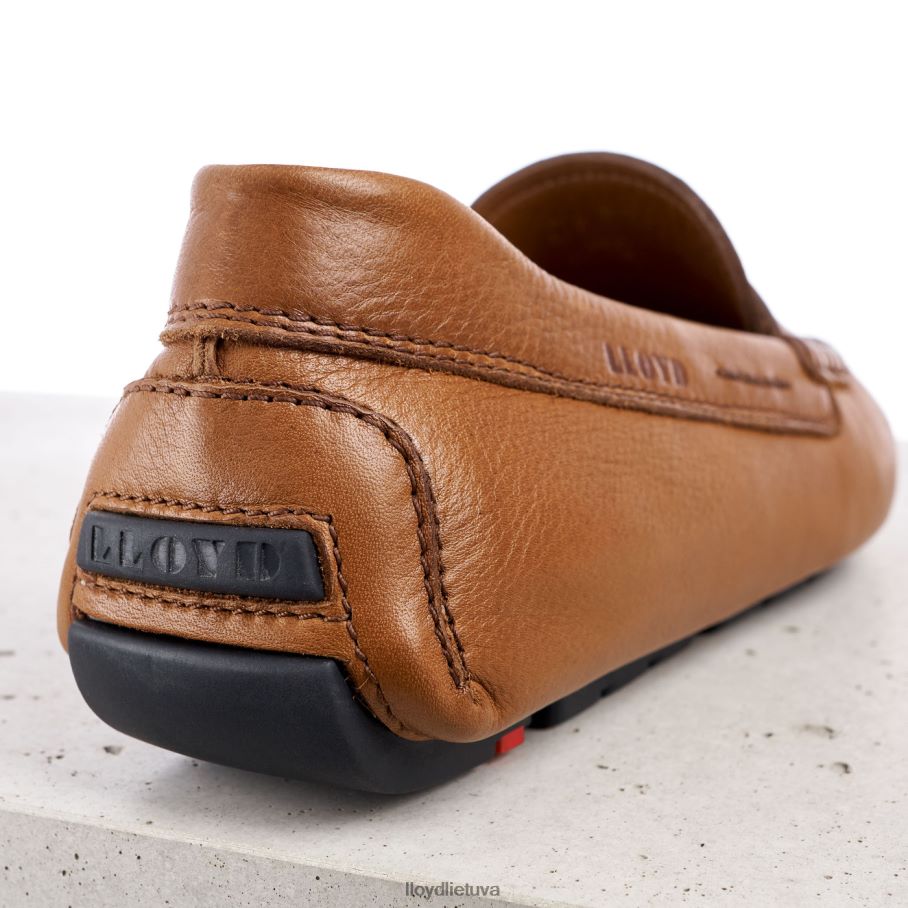 LLOYD emmo vyrų avalynė rudas VF40PZ610