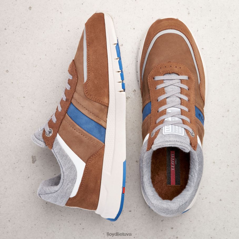 LLOYD ennio vyrų avalynė rudas VF40PZ379