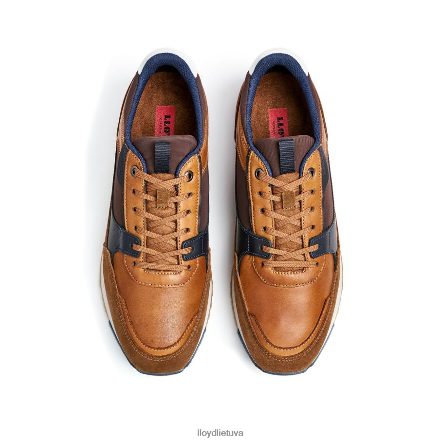 LLOYD euron vyrų avalynė rudas VF40PZ293