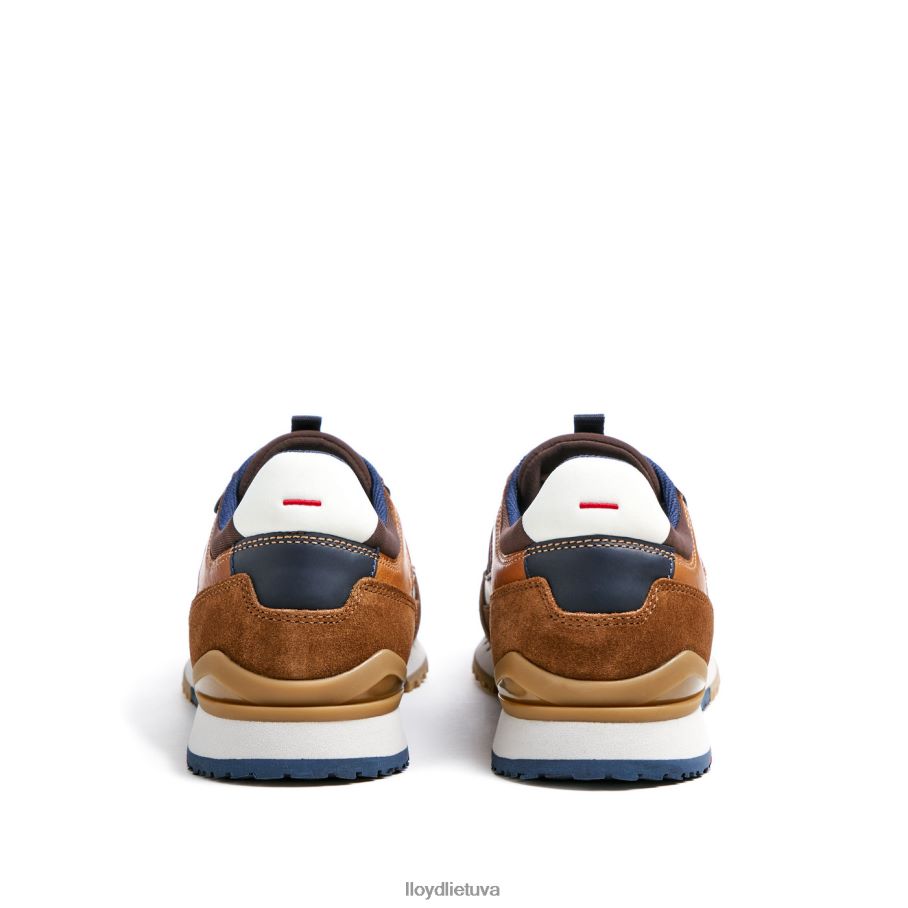 LLOYD euron vyrų avalynė rudas VF40PZ293