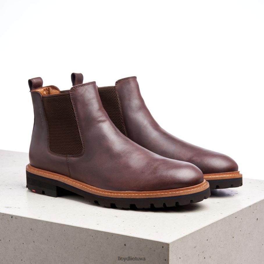 LLOYD fedoras vyrų avalynė rudas VF40PZ523