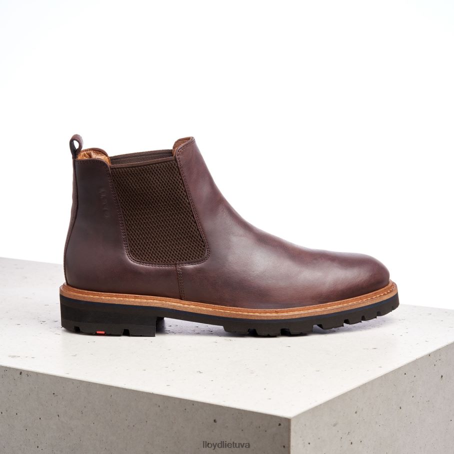 LLOYD fedoras vyrų avalynė rudas VF40PZ523