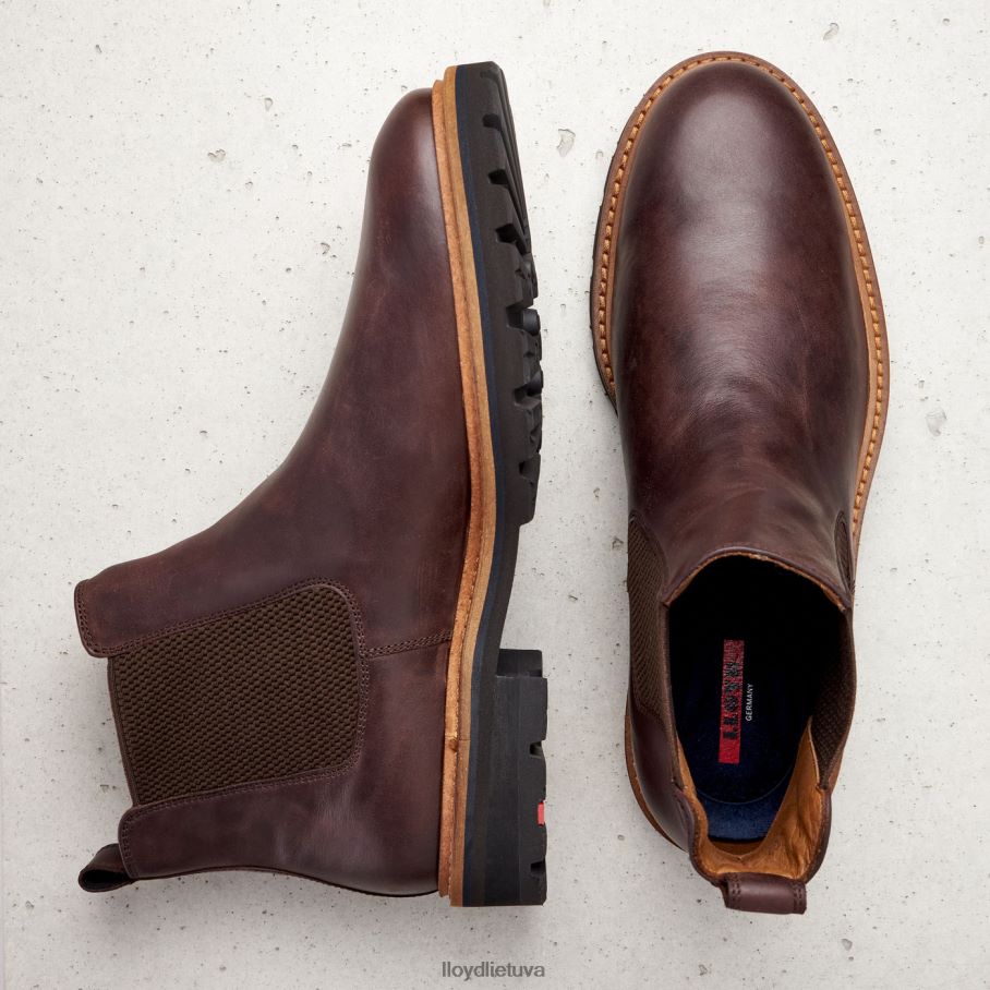 LLOYD fedoras vyrų avalynė rudas VF40PZ523