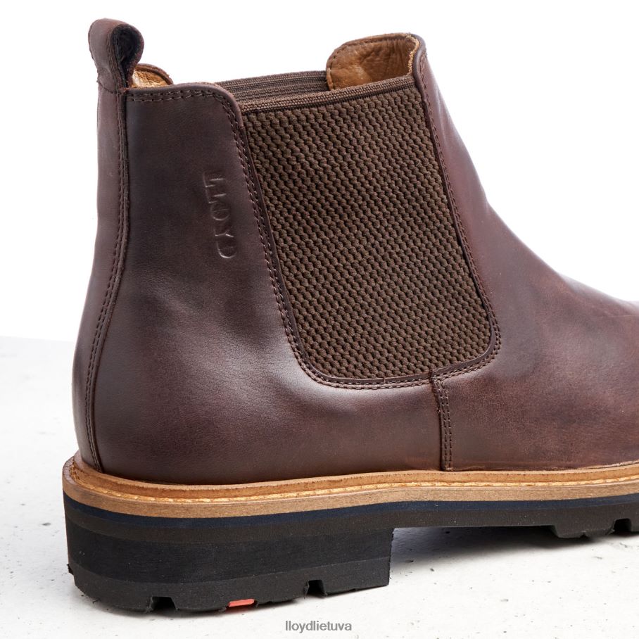 LLOYD fedoras vyrų avalynė rudas VF40PZ523