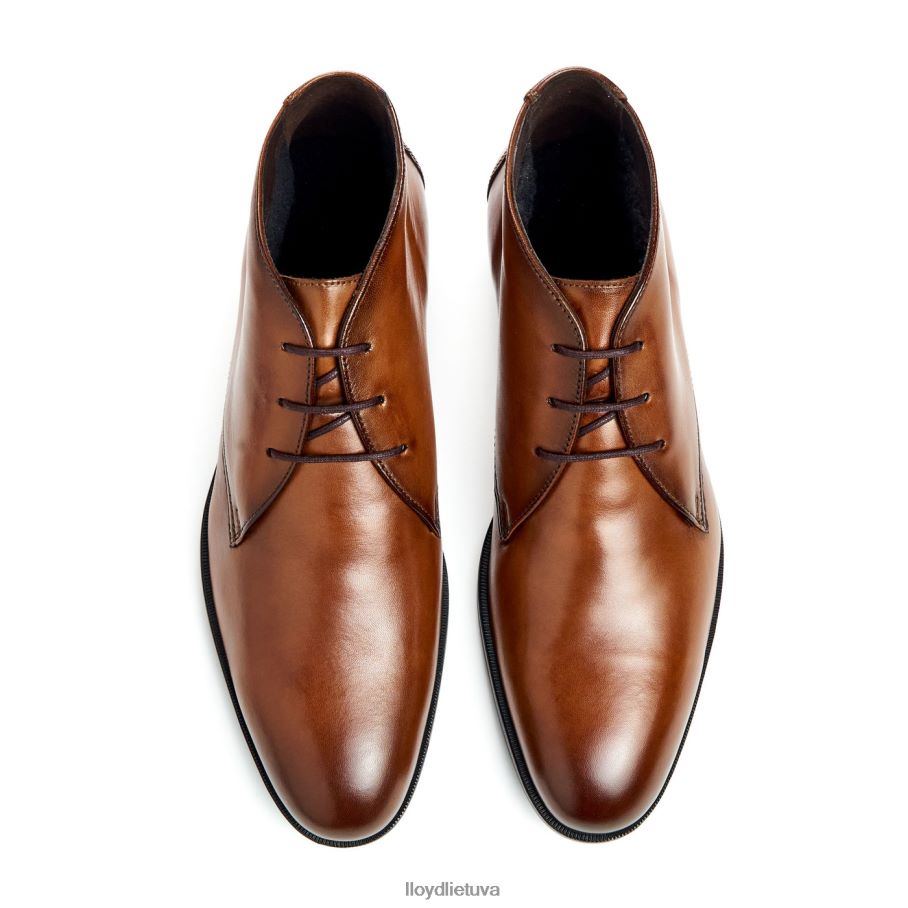 LLOYD feliciano vyrų avalynė rudas VF40PZ54