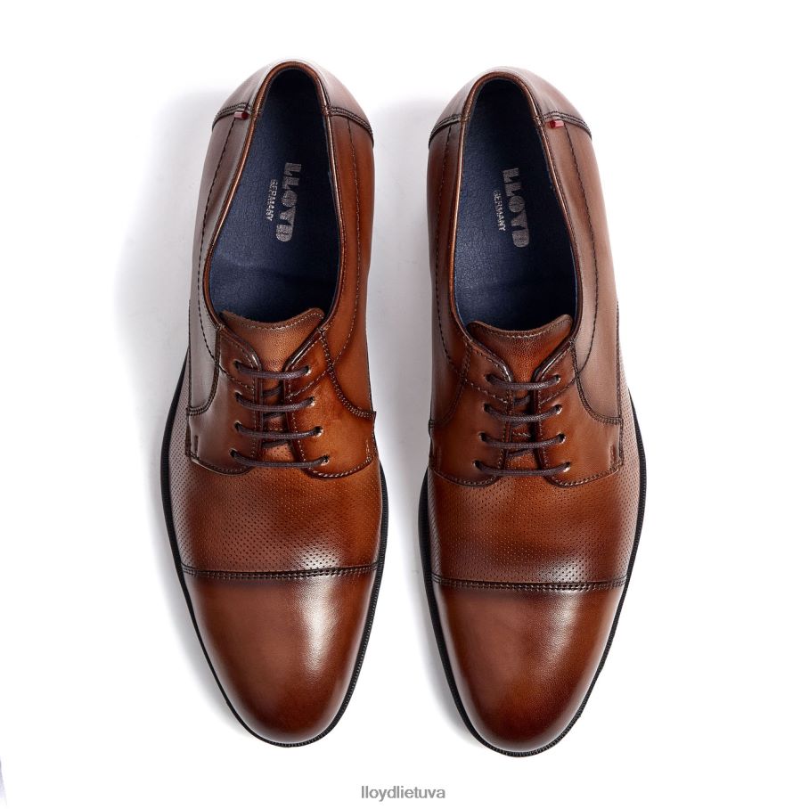 LLOYD folco vyrų avalynė rudas VF40PZ15