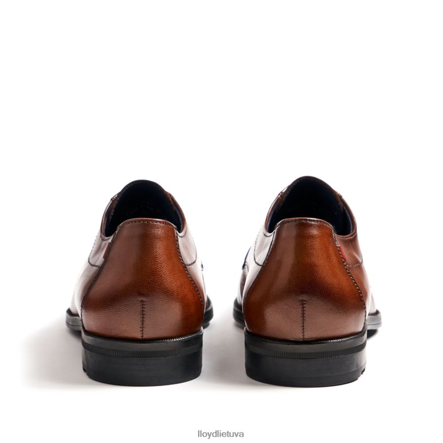 LLOYD folco vyrų avalynė rudas VF40PZ15