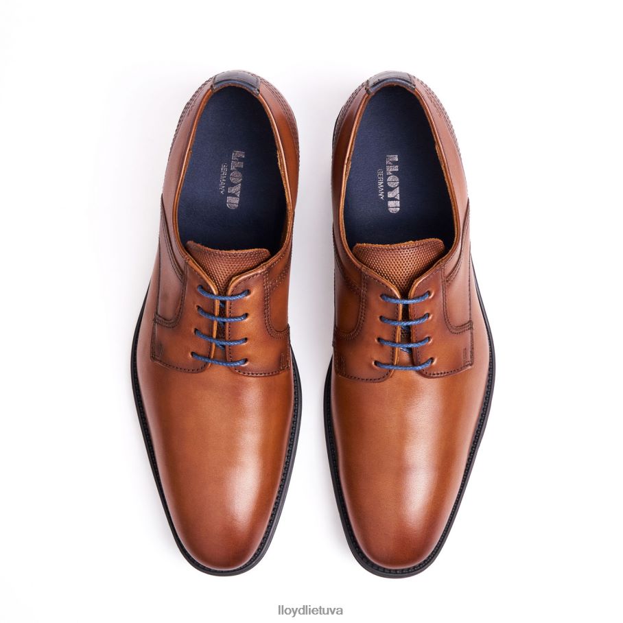 LLOYD gala vyrų avalynė rudas VF40PZ102