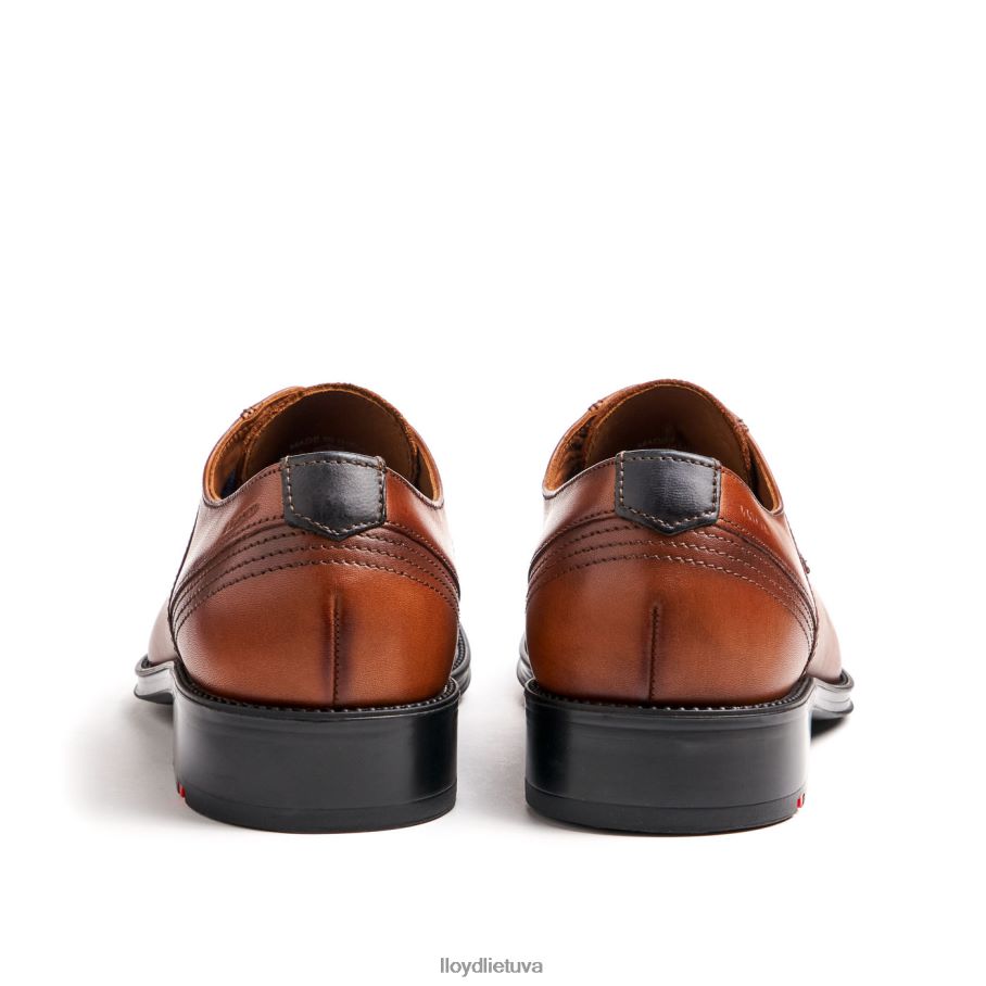 LLOYD gala vyrų avalynė rudas VF40PZ102