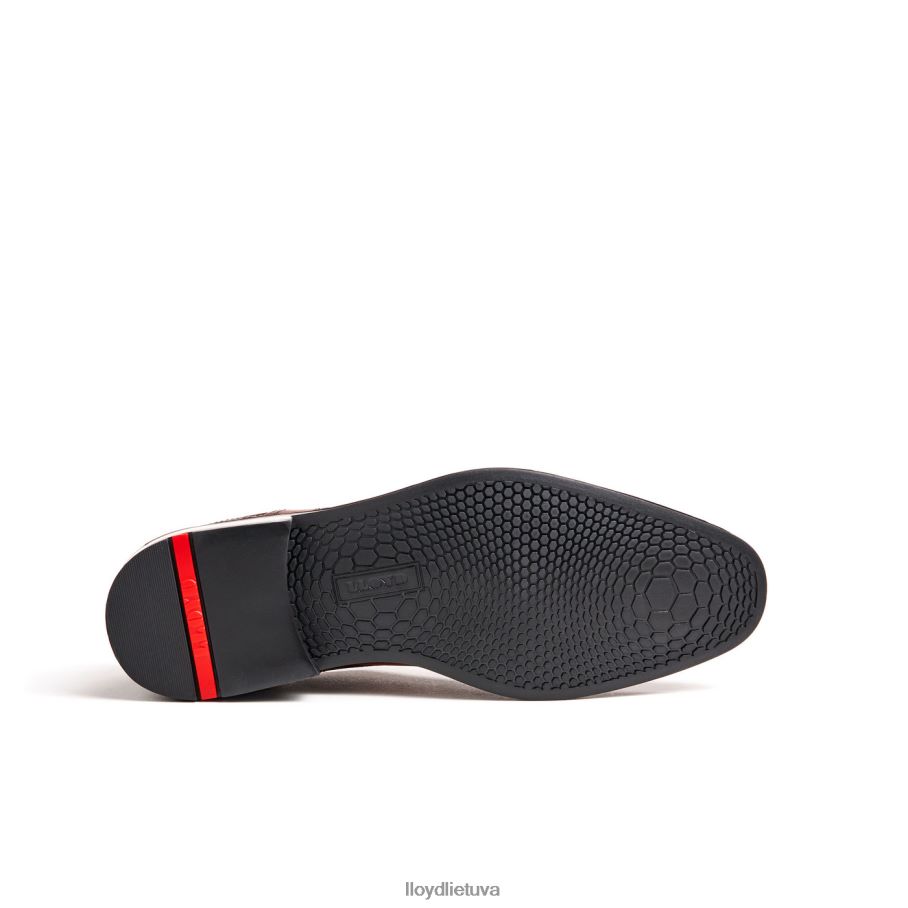 LLOYD gala vyrų avalynė rudas VF40PZ102