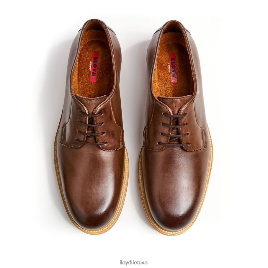 LLOYD gerai vyrų avalynė rudas VF40PZ77