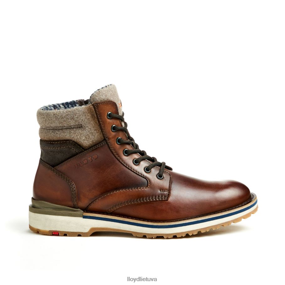 LLOYD glenn vyrų avalynė rudas VF40PZ482