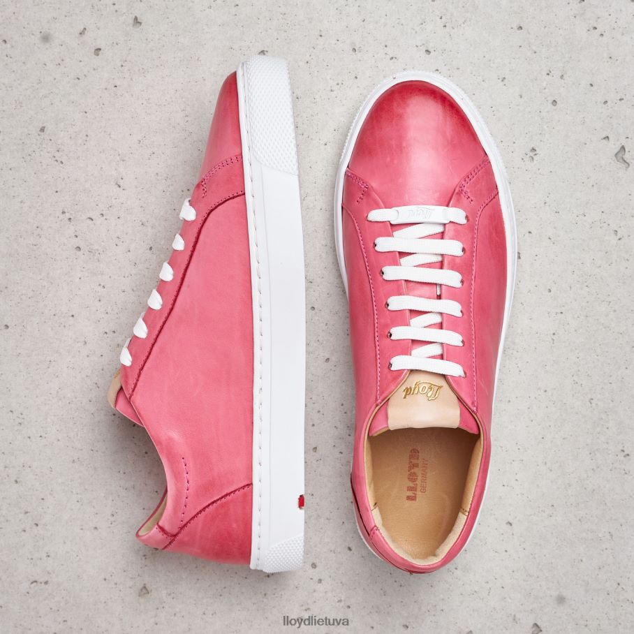 LLOYD glotnios odinės spalvos sportbačiai moterys avalynė rožinis VF40PZ842