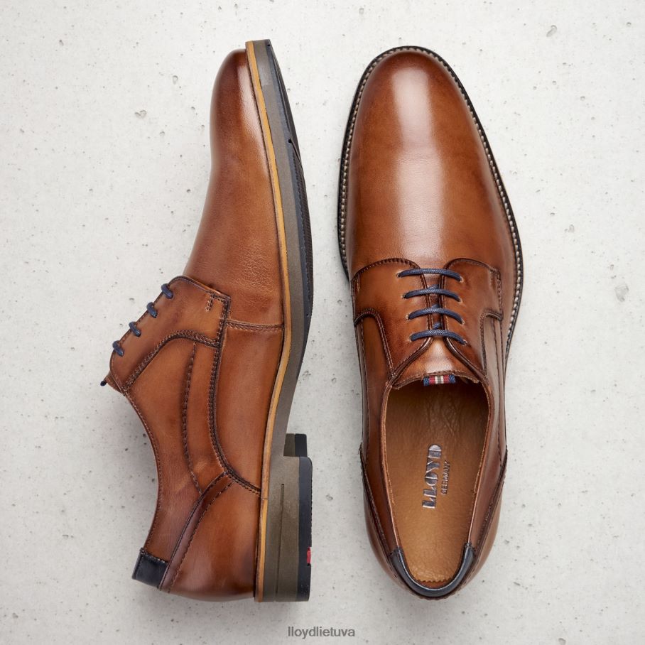 LLOYD haldan vyrų avalynė rudas VF40PZ172