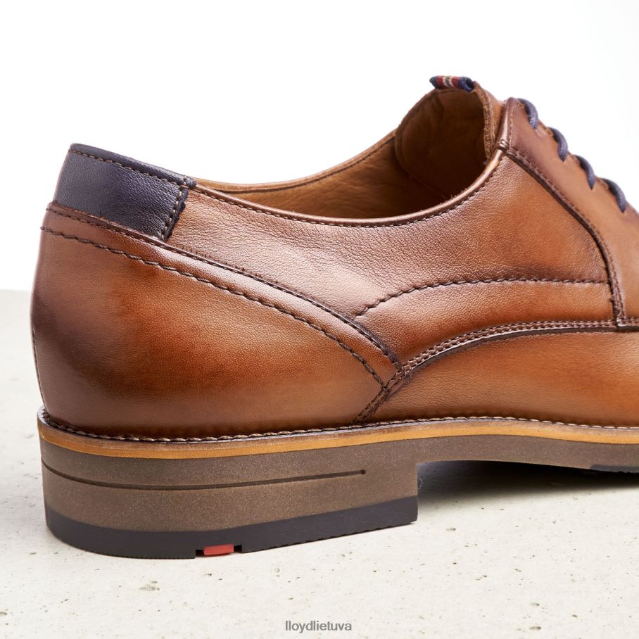 LLOYD haldan vyrų avalynė rudas VF40PZ172