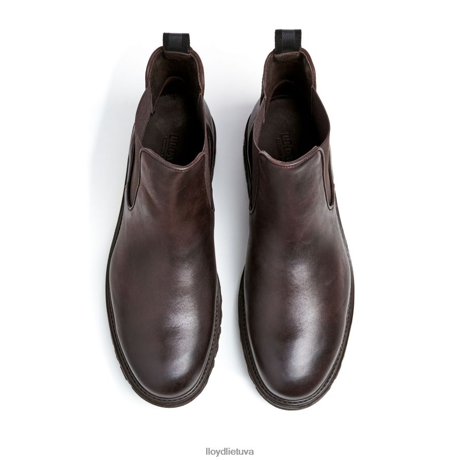 LLOYD harvičas vyrų avalynė rudas VF40PZ478