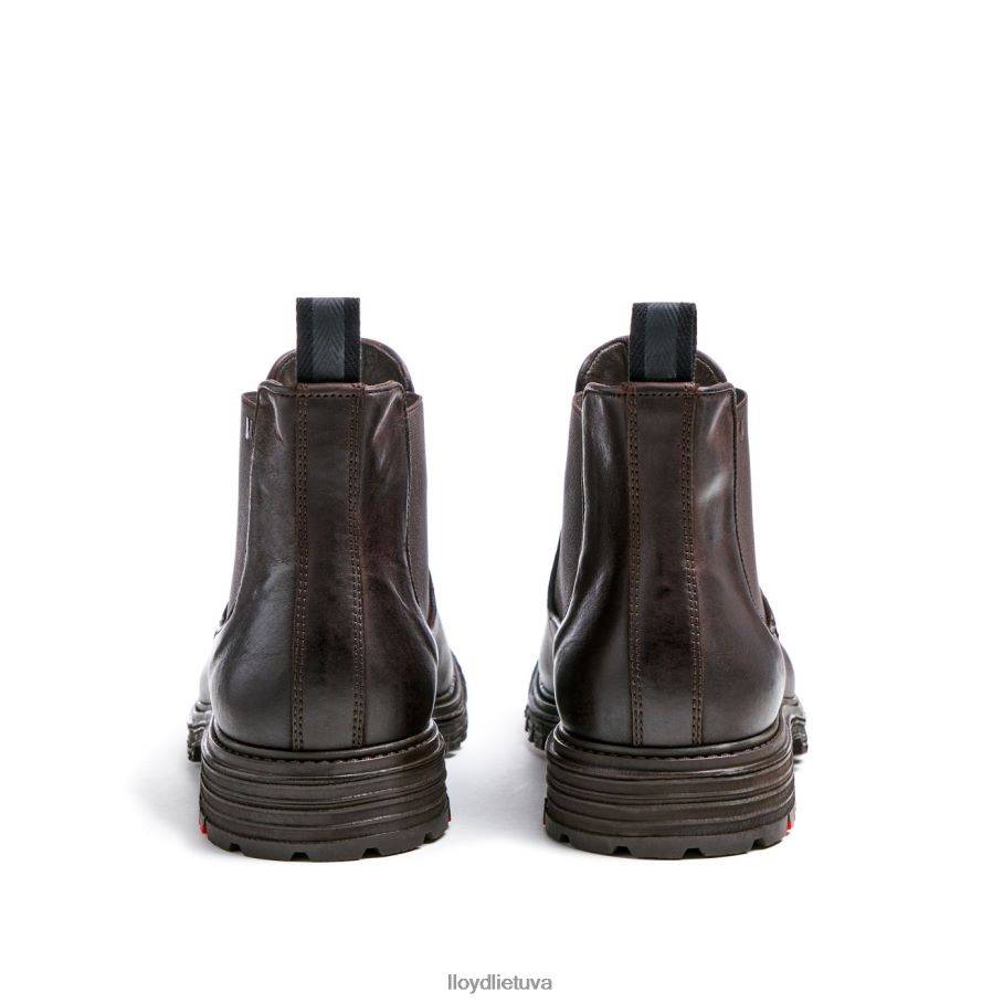 LLOYD harvičas vyrų avalynė rudas VF40PZ478