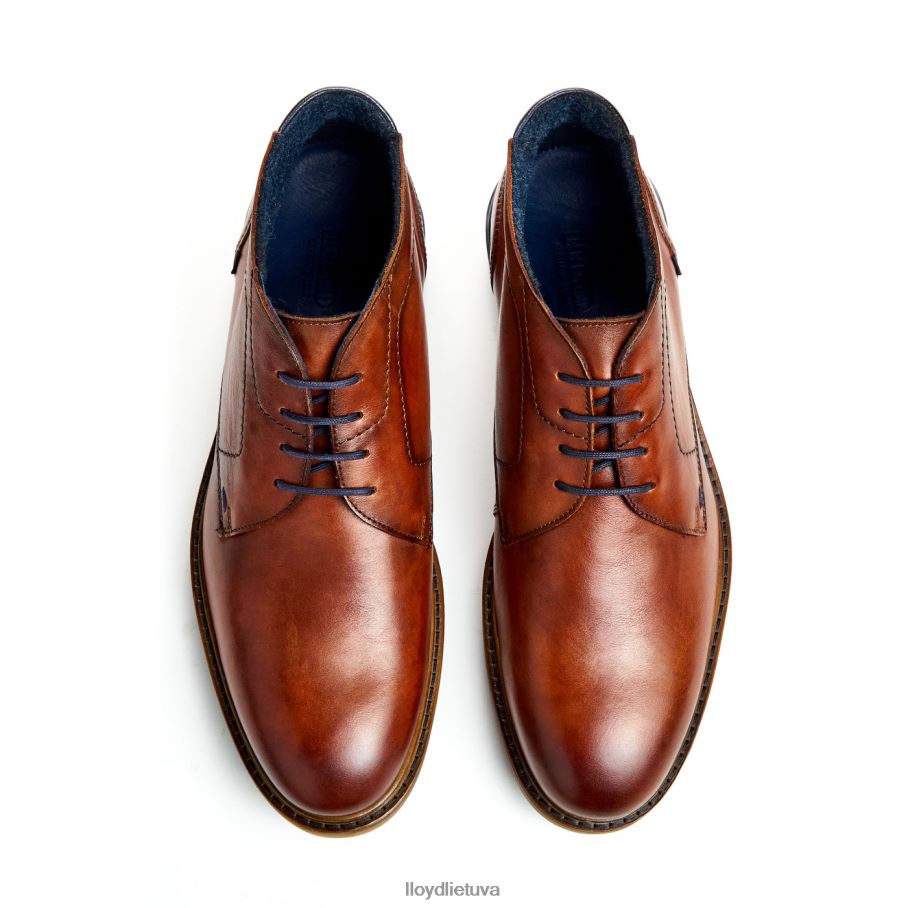 LLOYD hengelo vyrų avalynė rudas VF40PZ463