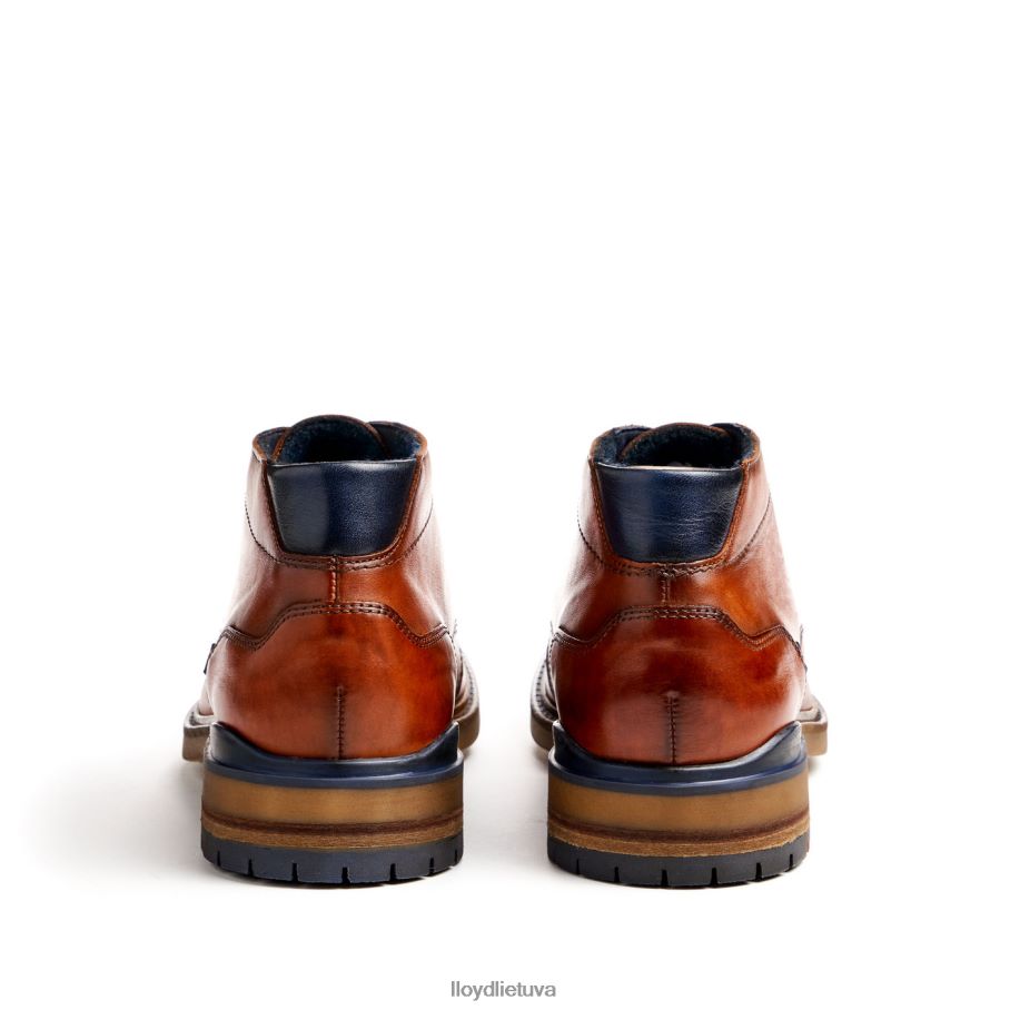 LLOYD hengelo vyrų avalynė rudas VF40PZ463