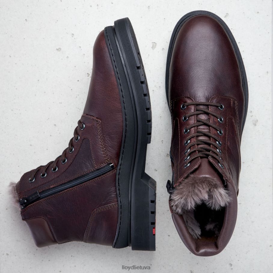 LLOYD holis vyrų avalynė rudas VF40PZ509